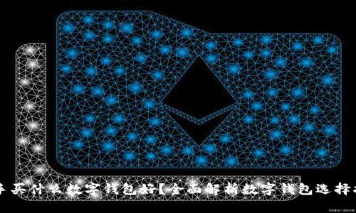 新手买什么数字钱包好？全面解析数字钱包选择指南