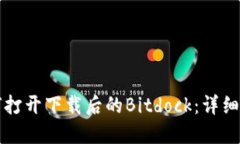 如何打开下载后的Bitdock：详细指南