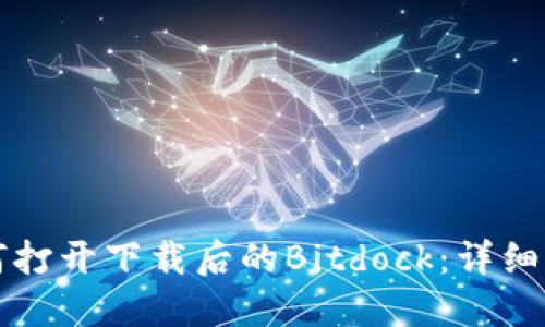 如何打开下载后的Bitdock：详细指南