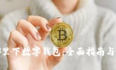 在哪里下数字钱包：全面指南与技巧