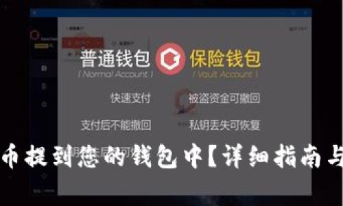 如何将加密货币提到您的钱包中？详细指南与常见问题解答