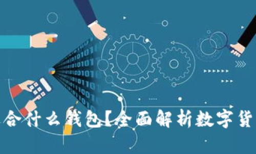 数字货币适合什么钱包？全面解析数字货币钱包选择