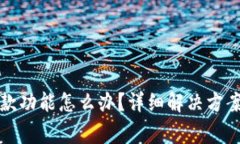 数字钱包暂停付款功能怎么办？详细解决方案及