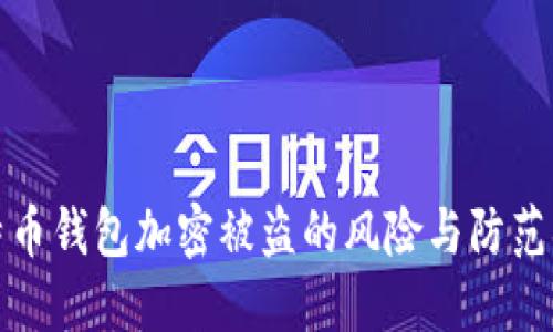 莱特币钱包加密被盗的风险与防范措施