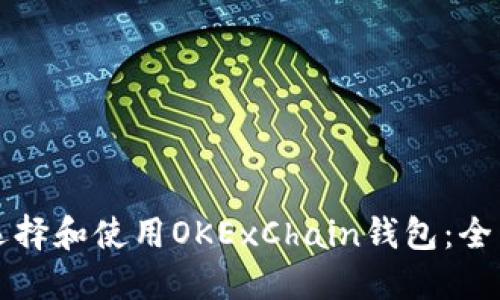 如何选择和使用OKExChain钱包：全面指南