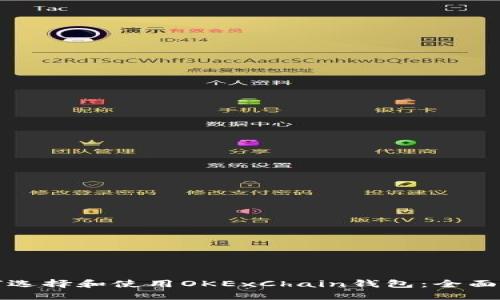 如何选择和使用OKExChain钱包：全面指南