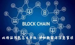 比特派钱包怎么升级：详细教程与注意事项