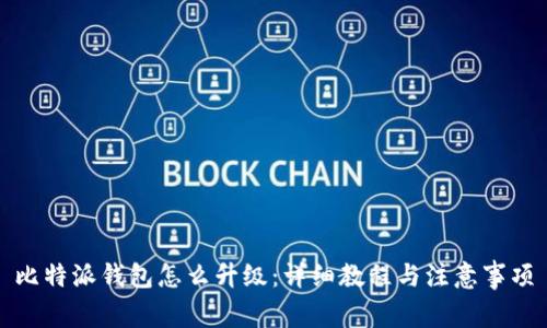 比特派钱包怎么升级：详细教程与注意事项