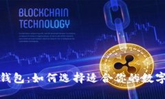 安全的轻数字钱包：如何选择适合你的数字资产