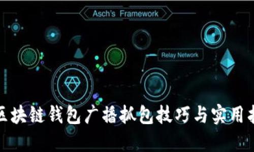 : 区块链钱包广播抓包技巧与实用指南