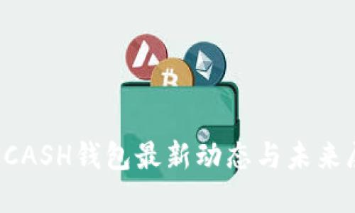 : KCASH钱包最新动态与未来展望