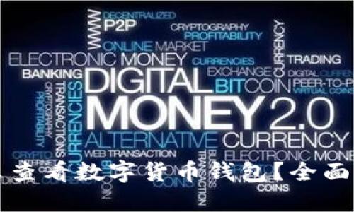 怎么查看数字货币钱包？全面指南