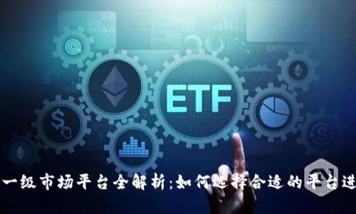 虚拟币一级市场平台全解析：如何选择合适的平台进行投资