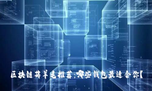 区块链薅羊毛推荐：哪些钱包最适合你？