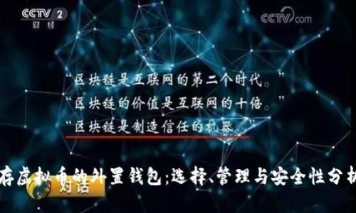 存虚拟币的外置钱包：选择、管理与安全性分析