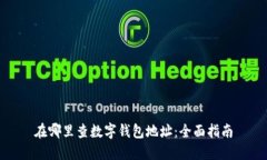 在哪里查数字钱包地址：全面指南