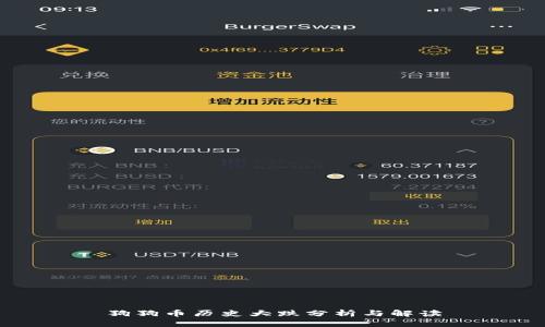 狗狗币历史大跌分析与解读