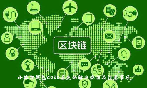 小狐狸钱包CORE丢失的解决办法及注意事项