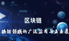 区块链领域的广泛应用与未来展望