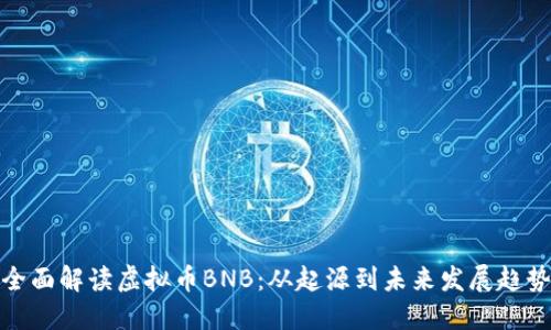 全面解读虚拟币BNB：从起源到未来发展趋势