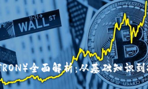 波场币（TRON）全面解析：从基础知识到投资策略