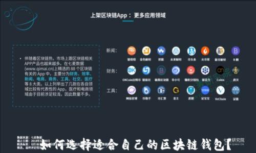 
  如何选择适合自己的区块链钱包？