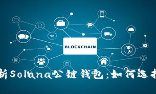全面解析Solana公链钱包：如何选择与使用