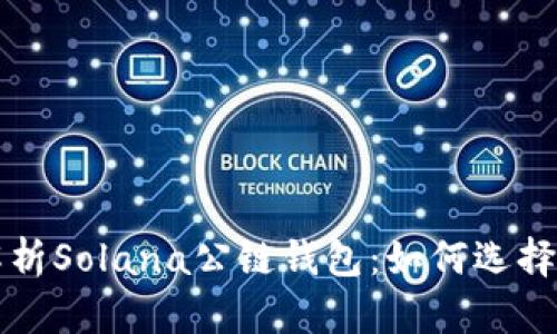 全面解析Solana公链钱包：如何选择与使用