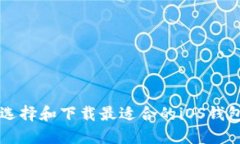 如何选择和下载最适合的iOS钱包应用