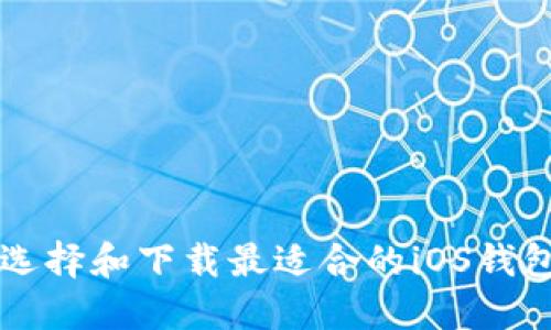 如何选择和下载最适合的iOS钱包应用