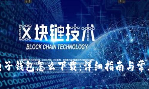 加密货币电子钱包怎么下载：详细指南与常见问题解答
