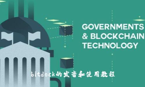 bitdock的发音和使用教程