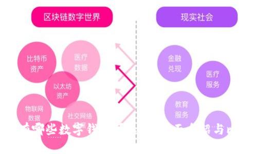 都有哪些数字钱包可以用？全面介绍与比较