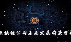区块链公司未来发展前景分析