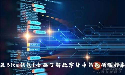 什么是Bite钱包？全面了解数字货币钱包的选择和使用