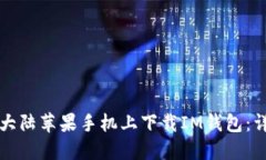 如何在大陆苹果手机上下载IM钱包：详细指南