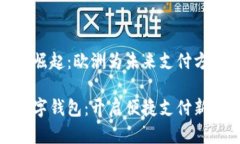 数字钱包的崛起：欧洲为未来支付方式铺平道路