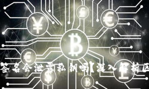 区块链钱包签名会泄露私钥吗？深入解析区块链安全性