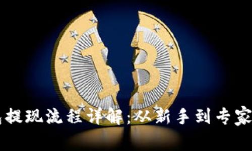虚拟币钱包提现流程详解：从新手到专家的完整指南