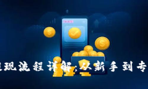 虚拟币钱包提现流程详解：从新手到专家的完整指南