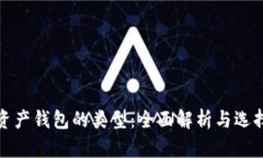 数字资产钱包的类型：全面解析与选择指南