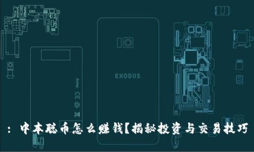 : 中本聪币怎么赚钱？揭秘投资与交易技巧