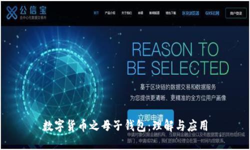 数字货币之母子钱包：理解与应用