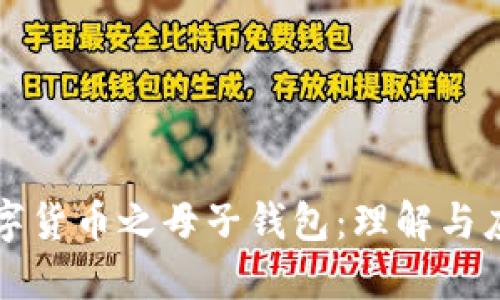 数字货币之母子钱包：理解与应用