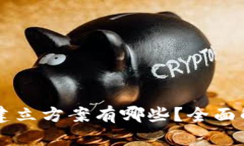 区块链钱包的建立方案有哪些？全面解析与实用指南
