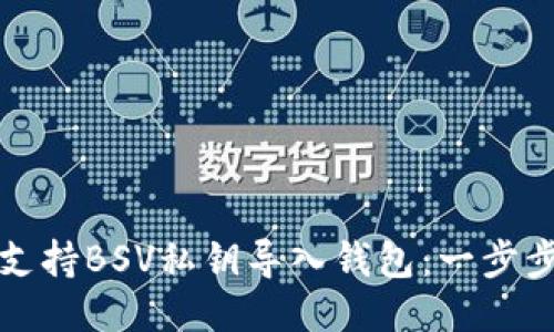 如何支持BSV私钥导入钱包：一步步指南