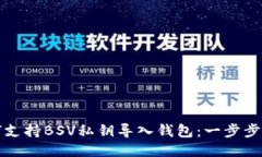 如何支持BSV私钥导入钱包：一步步指南