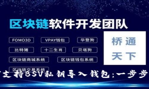 如何支持BSV私钥导入钱包：一步步指南