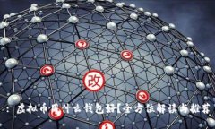 : 虚拟币用什么钱包好？全方位解读与推荐