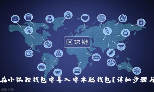 如何在小狐狸钱包中导入中本聪钱包？详细步骤与技巧